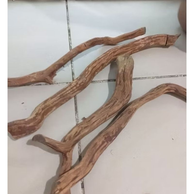 Promo bonggol Akar Rasamala akar aquascape aquarium/random 25 sd 30cm Raja Bonggol