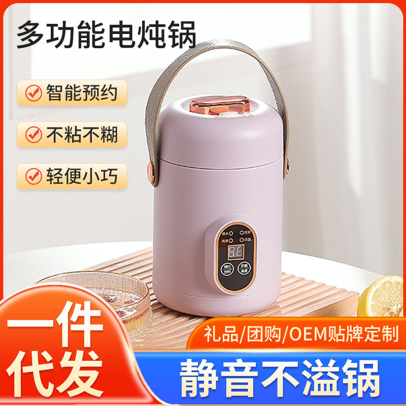 Tersedia Panci Rebus Listrik Multifungsi Panci Makanan Bayi Multifungsi Cangkir Rebus Mini Portabel 