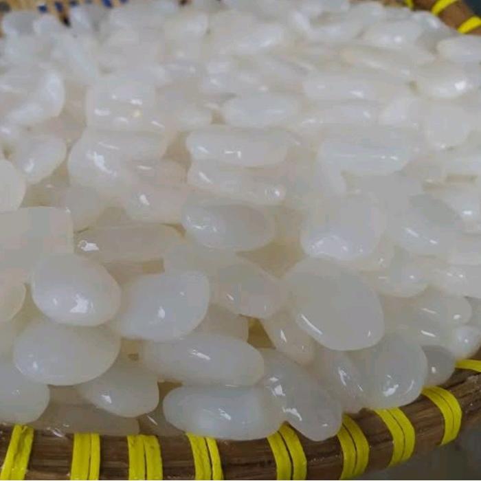 kolang Kaling muda/ kolang Kaling super/ kolang Kaling fresh 1 kg