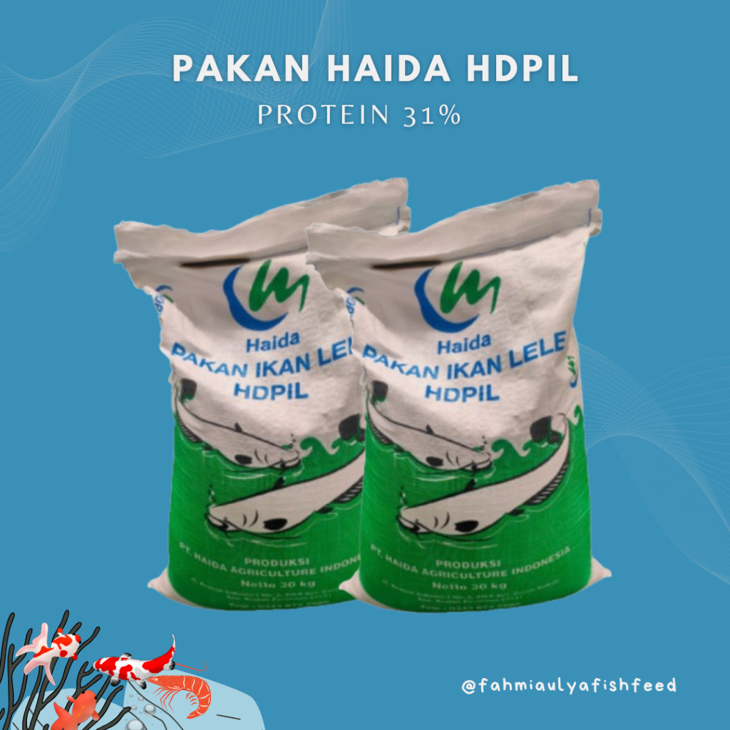 PAKAN IKAN MURAH Pakan Ikan Lele HDPIL -2 Protein 31%