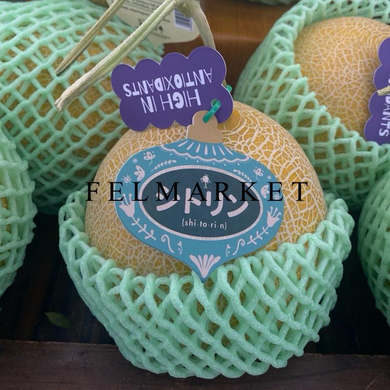 Melon Jepang Shitorin Manis / Buah Melon Jepang Shitorin / Pcs