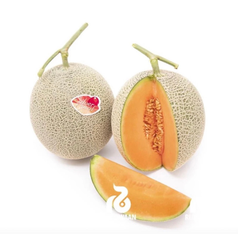 Benih melon RZ 34-905 Fujisawa F1 - 110 benih