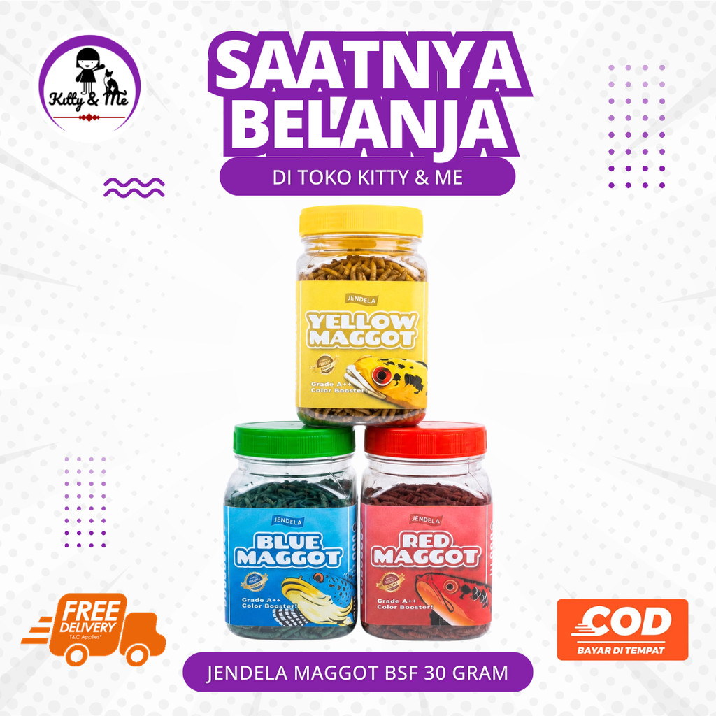 JENDELA MAGGOT BSF KERING ALL COLOUR 30 GRAM GRADE A++ - Pakan Ikan Ukuran Besar Untuk Ikan Channa O