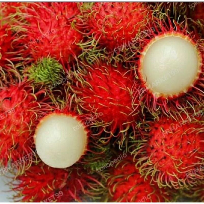 Rambutan Binjai Manis | Buah Rambutan Manis | 1 Kg