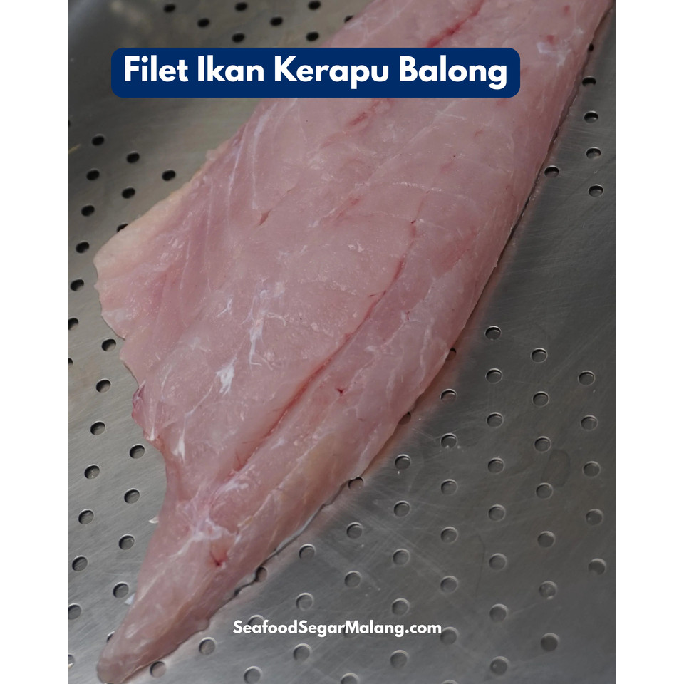 Kerapu Balong fillet