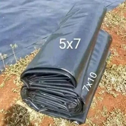 KARPET TERPAL TAMBAK ASLI KARPET TAMBAK TEBAL 0,5 KES/500 MICRO