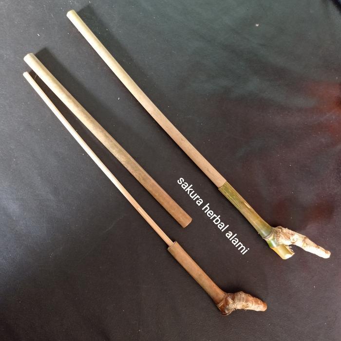 Cod> Mainan anak tradisional senjata bambu, pestol pestolan anak dari bambu [Pangpung Alam]