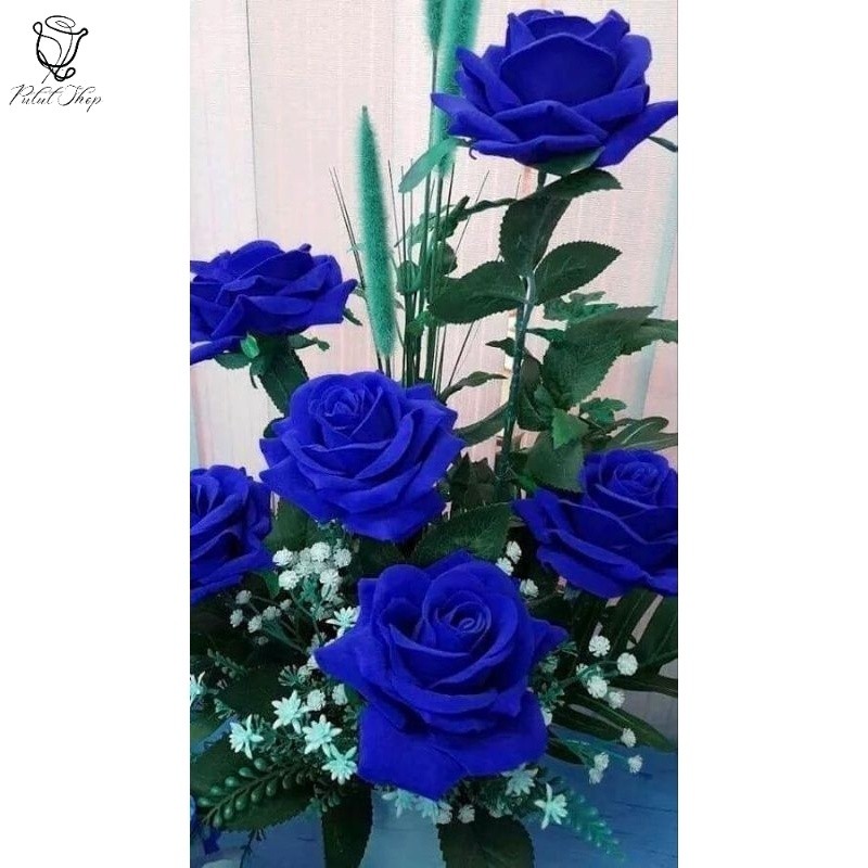 Promoo tanaman hias bunga mawar bunga biru - tanaman hias bunga mawar - bunga mawar
