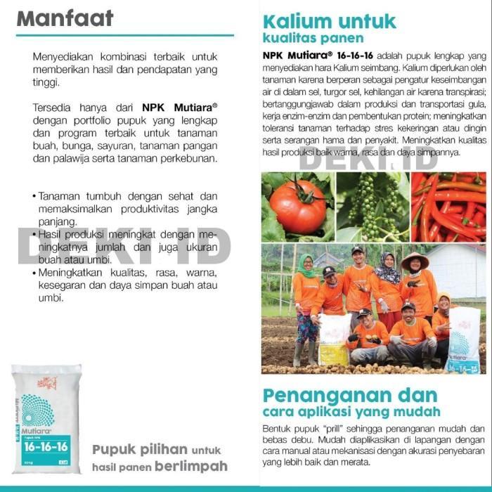 Pupuk NPK Mutiara 161616 Meroke 50 Kg Via Instant Kemasan Pabrik