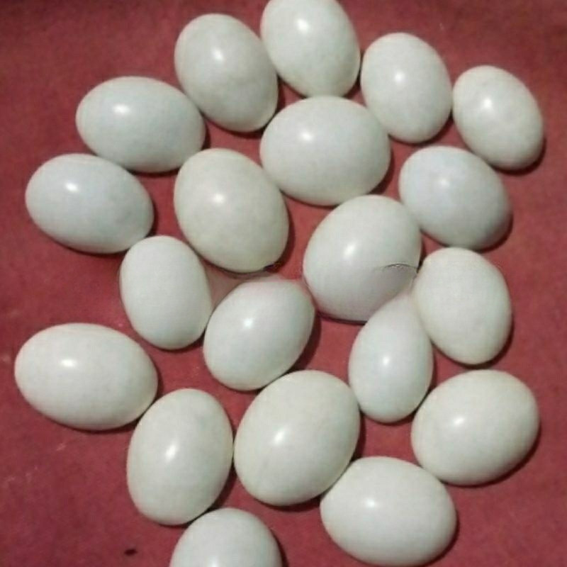 BATU CINCIN TIDAR /KENTUS KELOPO NATURAL ALAM