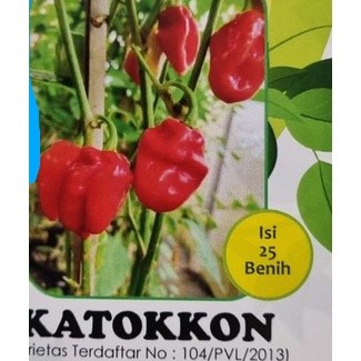3 Biji Benih Cabai KATOKKON