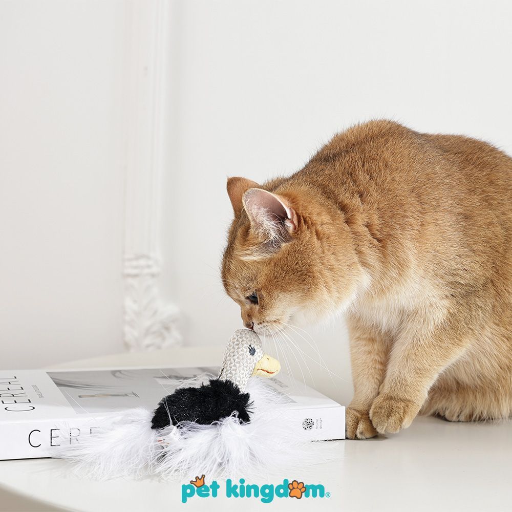 Pet Kingdom M-Pets Plume Mainan Kucing Catnip Ostrich - Hitam/Putih Cat Toys Perlengkapan Bermain Ku