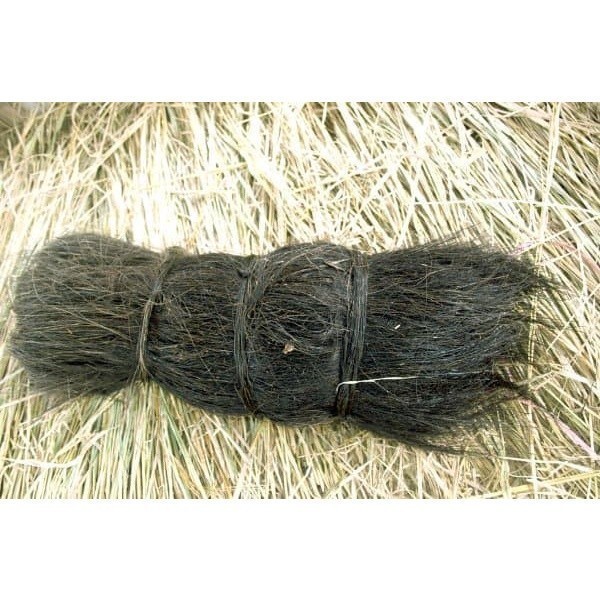 Promo injuk utuh 500 gram bersih "