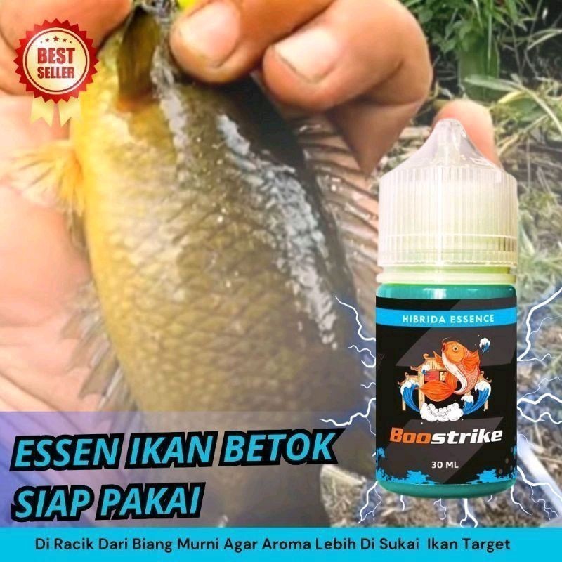 30 ML -  Essen Ikan Betok Paling Ampuh, Umpan Ikan Betok, Mancing Ikan Betok | Boostrike
