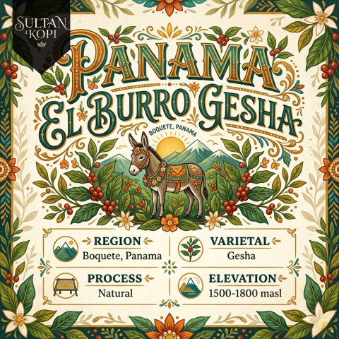 Panama El Burro Gesha Green Bean Import 500 Gr | Specialty Coffee Beans