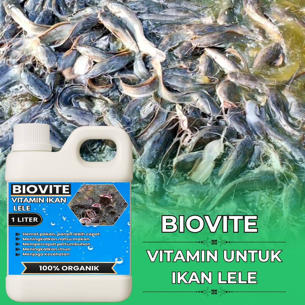 Vitamin ternak IKAN LELE, VITAMIN Ikan Lele Agar Cepat Besar Probiotik, Pemacu Pertumbuhan Ikan Lele