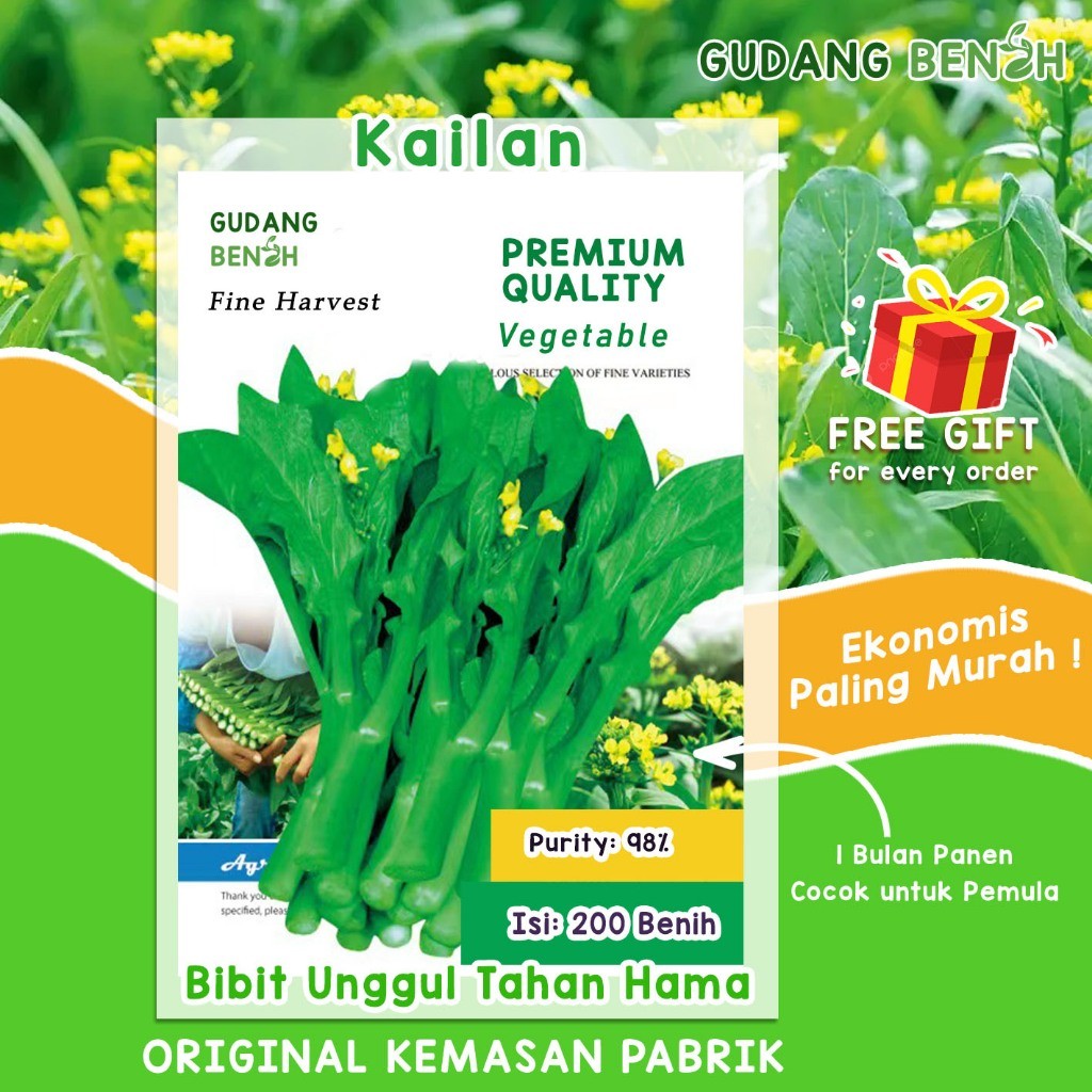 Benih Tanaman Sayuran Kailan / Bibit Sayur Kailan Isi 200 Benih