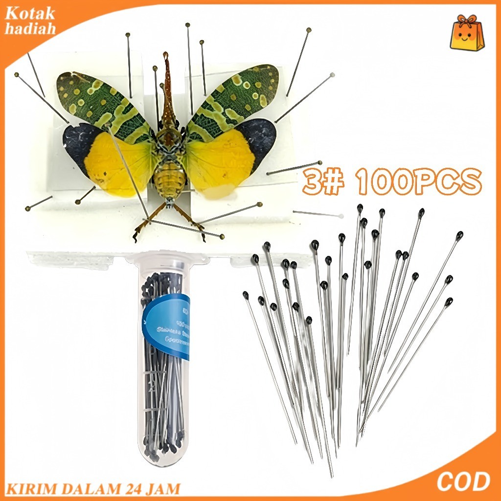 100pcs Jarum Serangga Kepala Karet Stainless Steel, Jarum Spesimen Keras, Ujung Jarum Tajam, Elastis