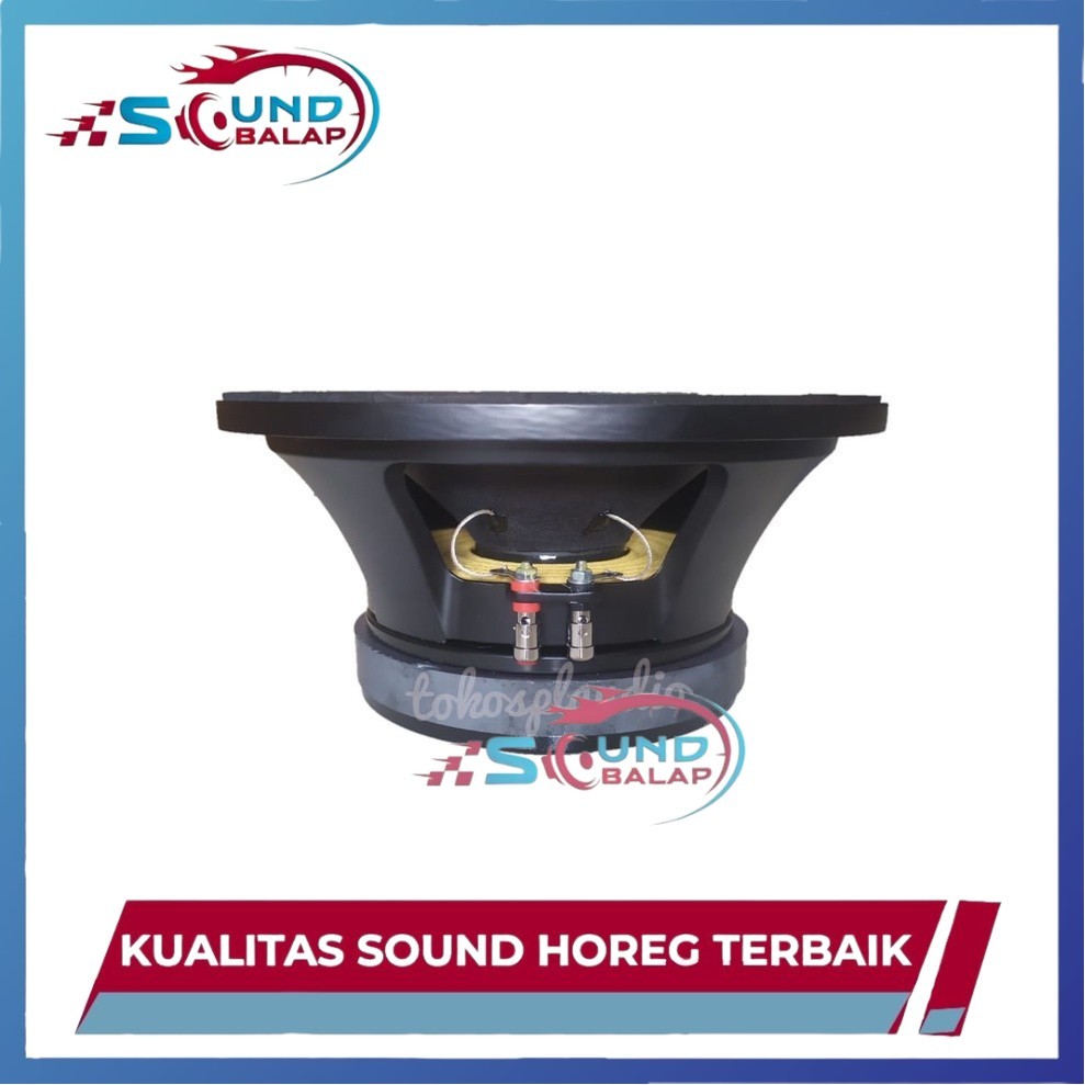 SPL Audio Speaker 10 Inch L10/850YK