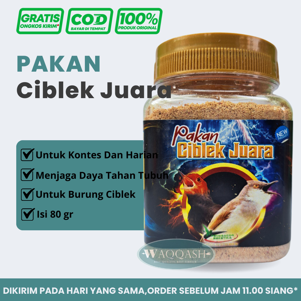 Pakan Ciblek Juara Voer Makanan Burung Ciblek dan Perenjak