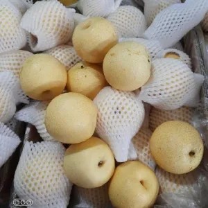 buah pir 1kg PROMO