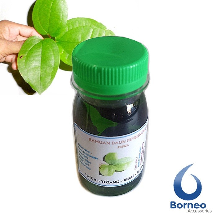 Original_ Minyak Herbal Daun Bungkus Papua 15ml Oles Alami _Asli Diskon