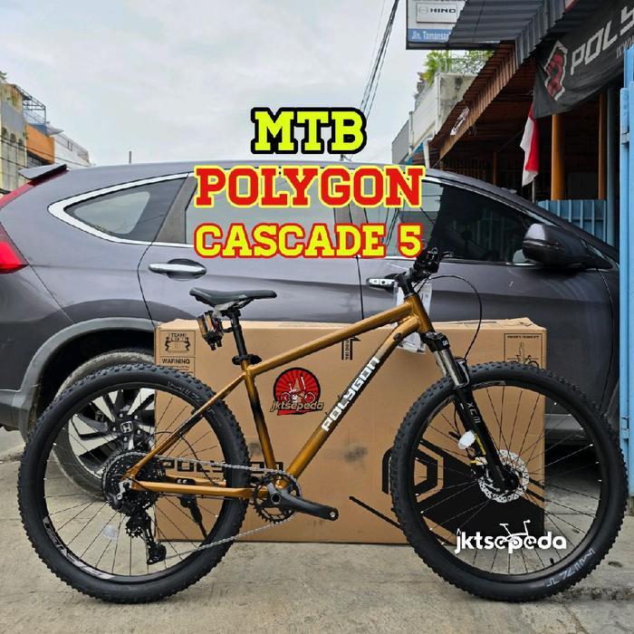 Sepeda Gunung MTB Polygon CASCADE 5