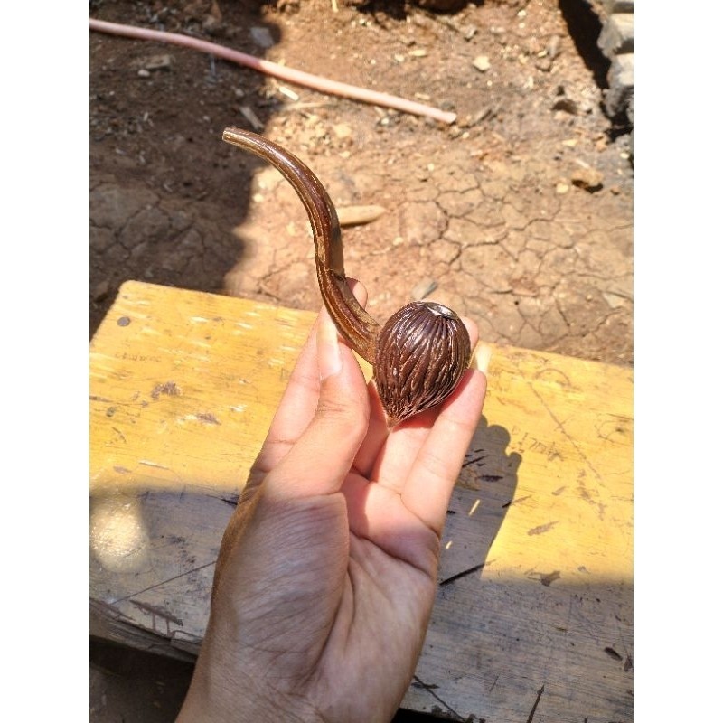 pipa cangklong, pipa padud batok unik, pipa padud palem