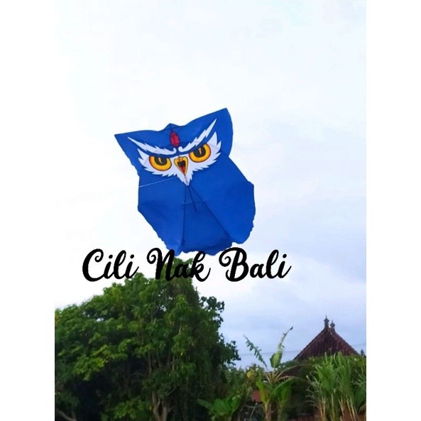 BLASFAS Layangan Bali Celepuk Burung Hantu Cutting 1meter