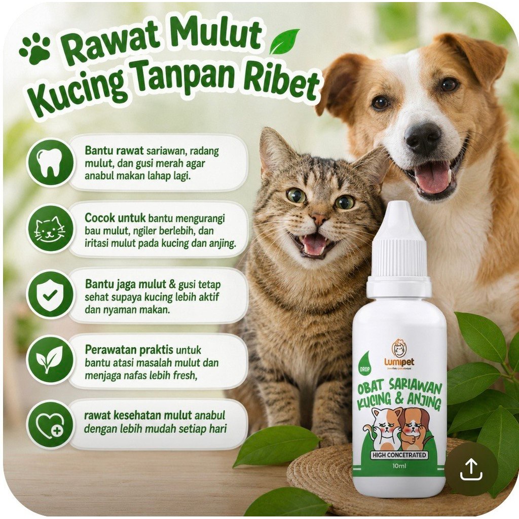 Obat Sariawan Kucing Anti Bau Mulut | Ampuh untuk Gusi Bengkak & Radang Mulut / Tetes Mulut Kucing A