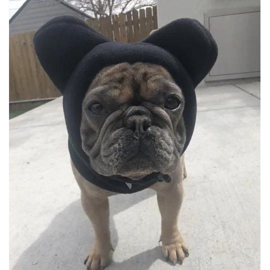 Winter Pet Hat Fleece Dog Warm Hat Ears Hoodie Scarf Set Pet Cat Dog Hat Headgear Warm Earmuffs Dog 