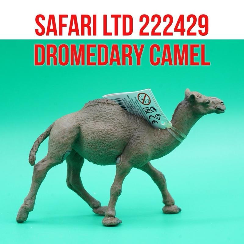 Safari Ltd 222429 Dromedary Camel Unta Punuk Satu Camelus  Dromedarius | Mainan Figure Binatang Mini