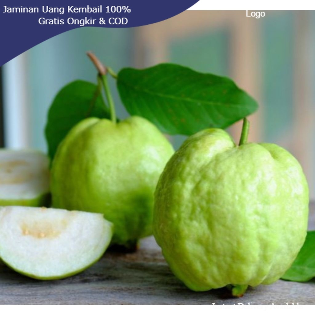 TERLARIS Jambu Kristal Tanpa Biji 1 Kg Manis Renyah