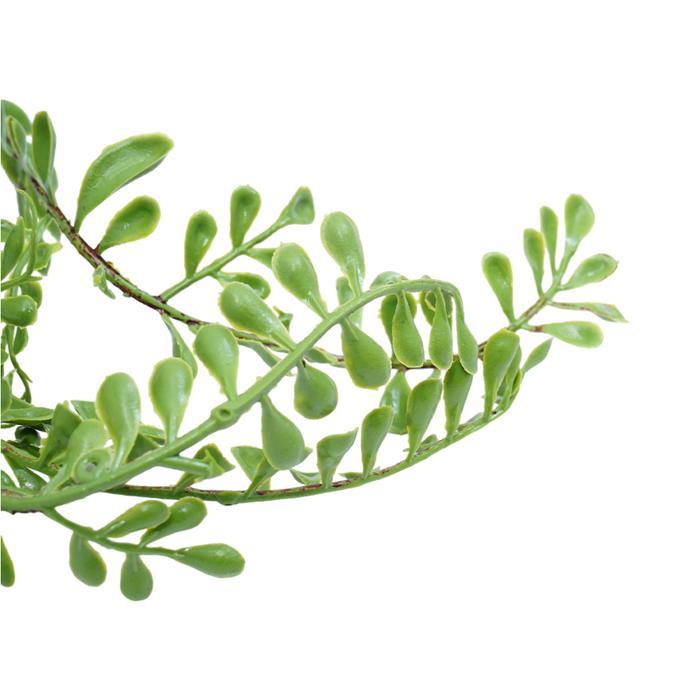 Informa 50 cm Tanaman Artifisial Dengan Pot Ppg36 Tanaman Plastik Dekorasi Rumah Hiasan Meja Pajanga