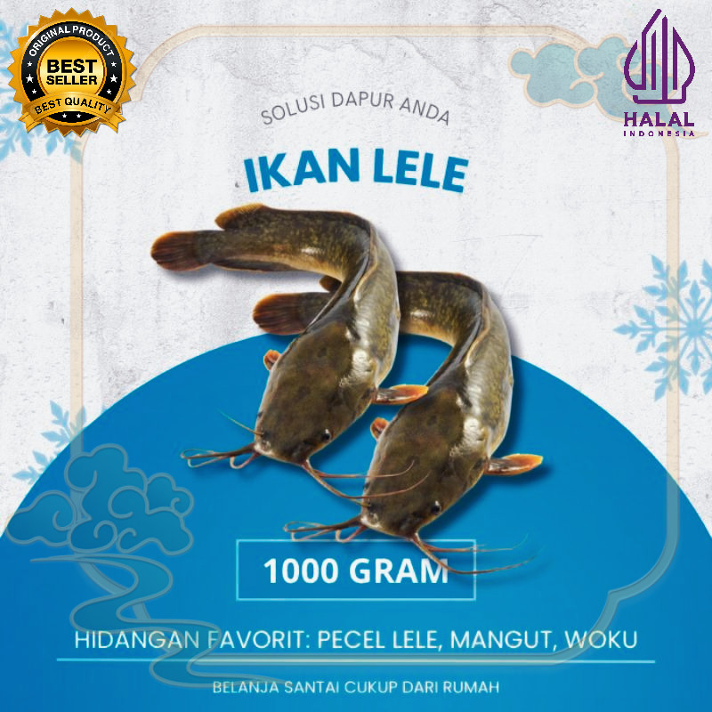 Ikan Lele Segar Siap Konsumsi 1kg Jogja