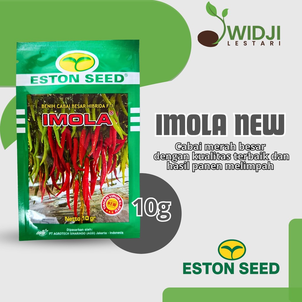 Cabe Besar Imola New F1 Tahan Virus Original Pabrik Cabai