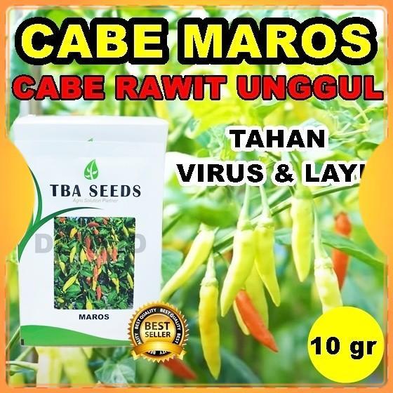 Benih Cabe Maros Bibit Cabai Rawit Unggul 10 Gram TBA Seed