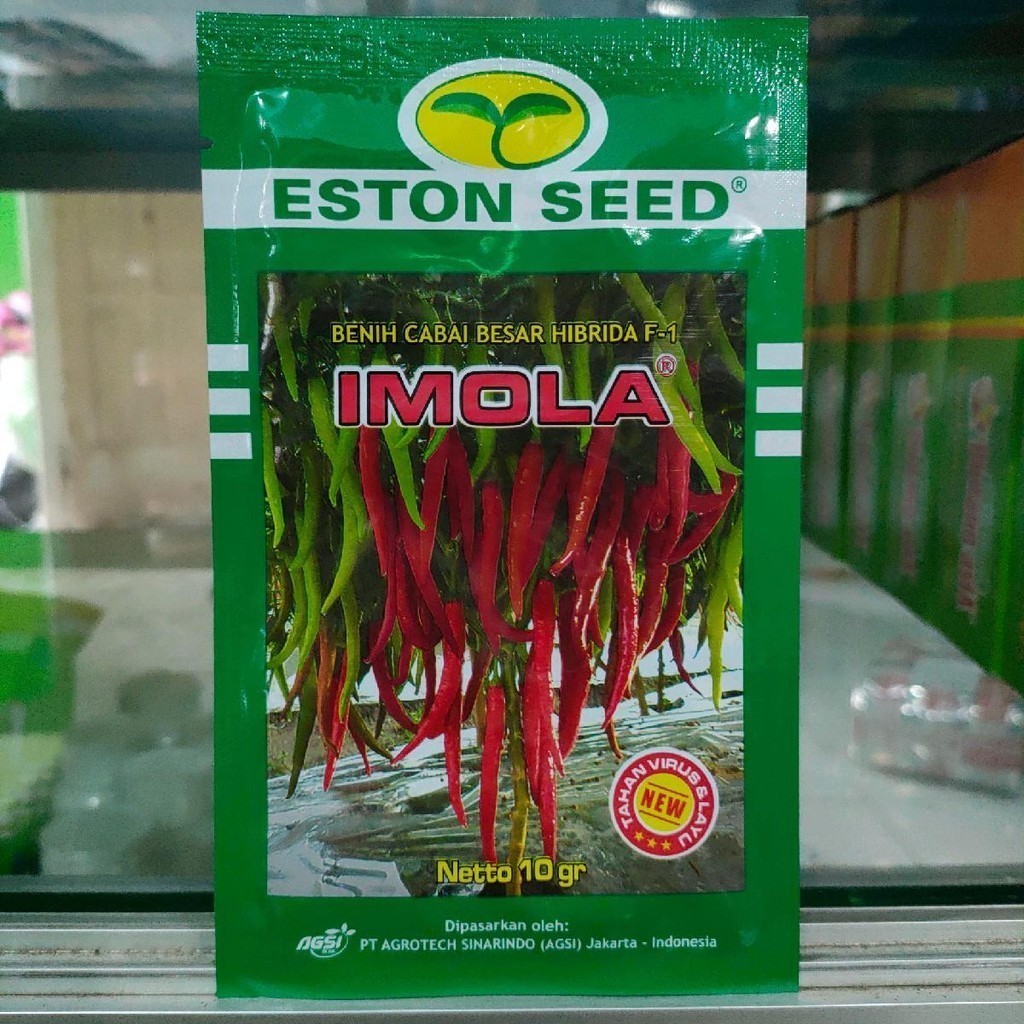 Benih Cabe Besar Imola New F1 Original 10gr Panen 73–78 HST Super Produktif