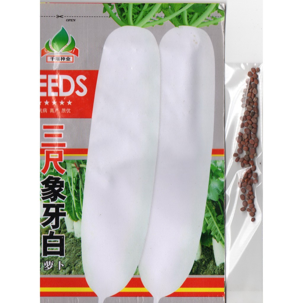 50 Biji Benih Lobak Putih Super