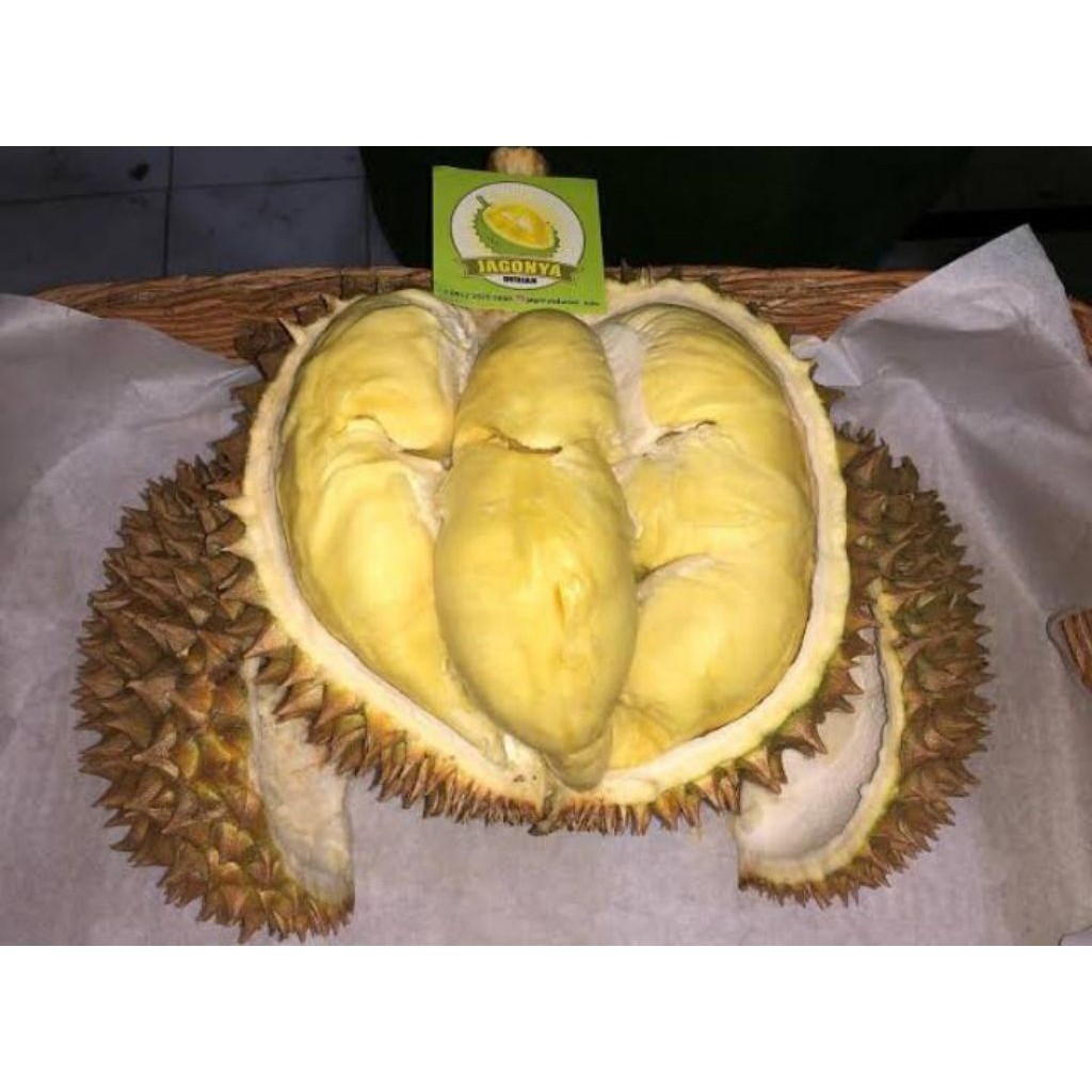DURIAN MONTONG KUPAS MUSANGKING 500GRAM BIG SALE