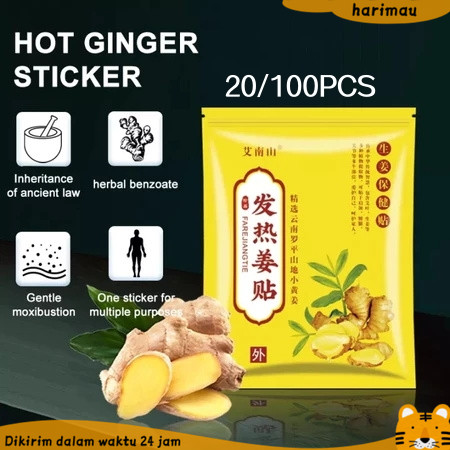 Ginger Pads Detox Patch 100/20 pcs Koyo Kaki Detox Body Bahu Knee Pad Herbal Pain