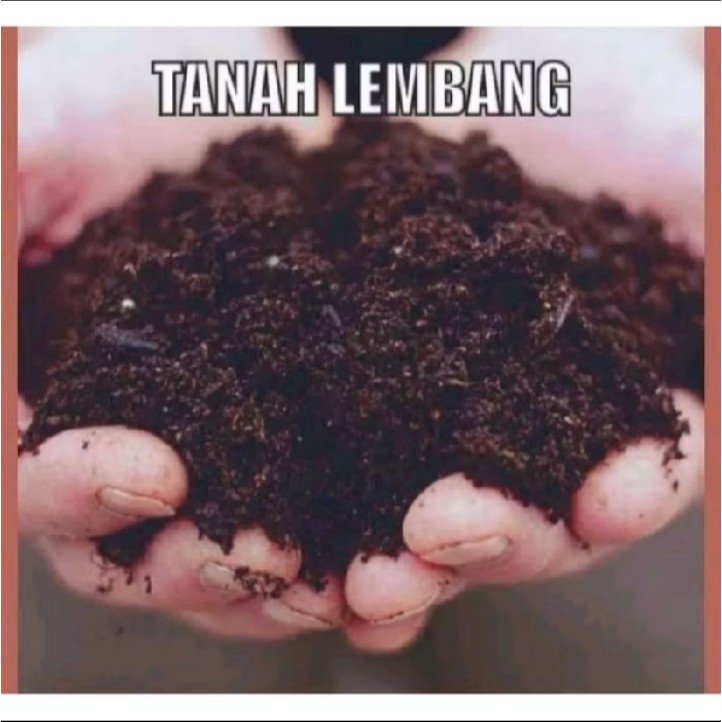 Tanah lembang
