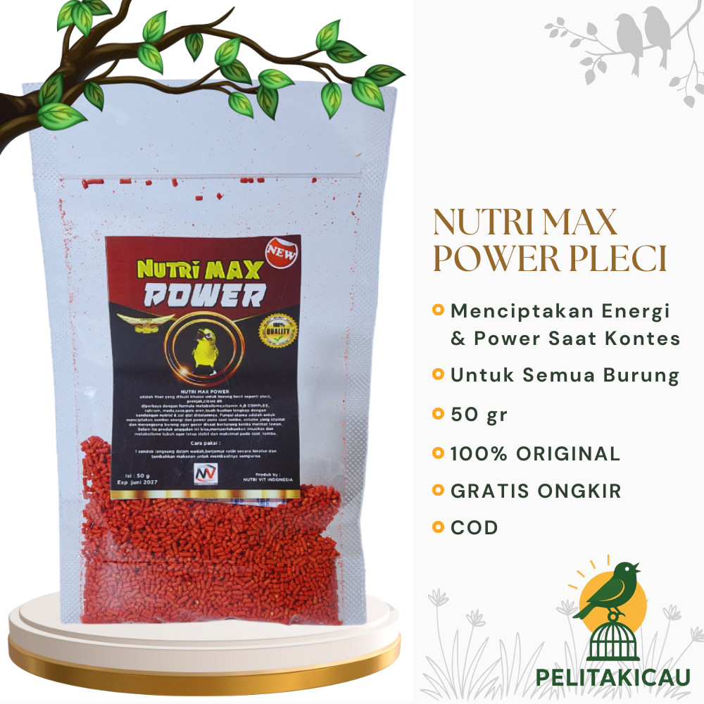 Nutri Max Power Voer Burung Pleci menciptakan sumber energi power volume yang mengkristal gacor