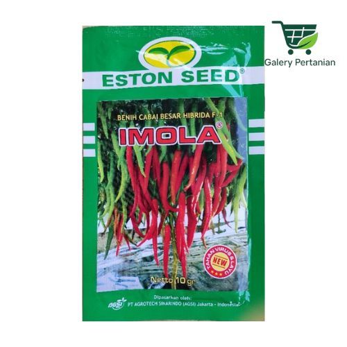 Benih Cabe Merah Imola New F1 Original Eston 10gr Panen Cepat Anti Virus. Imola New