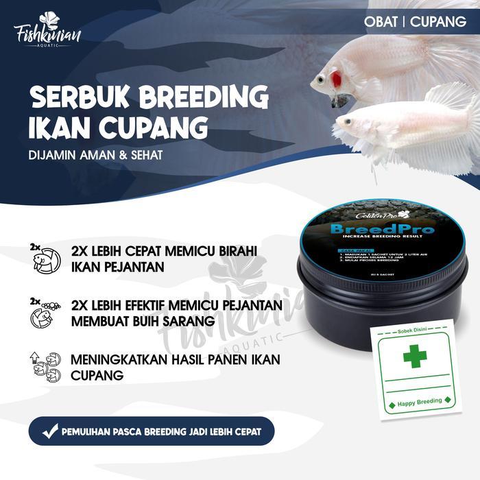 OBAT BREEDING / KAWIN / TERNAK IKAN CUPANG - Breed Pro Fishkinian