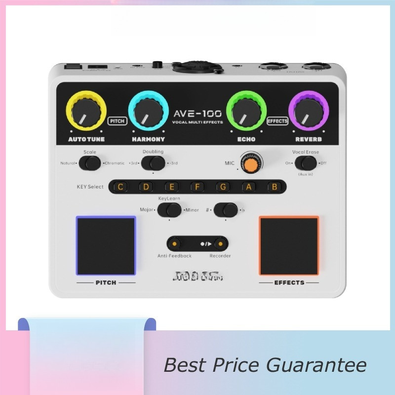 Incl Ts Sing with Acoustic Electric Guitar Vocal MultiEffects Processor VocalErase Harmony Delay Rev