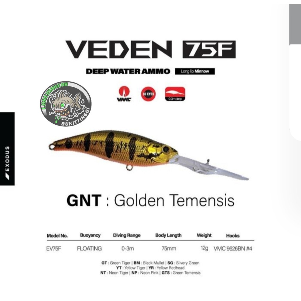 LURE EXODUS VEDEN 75F GOLDEN TEMENSIS