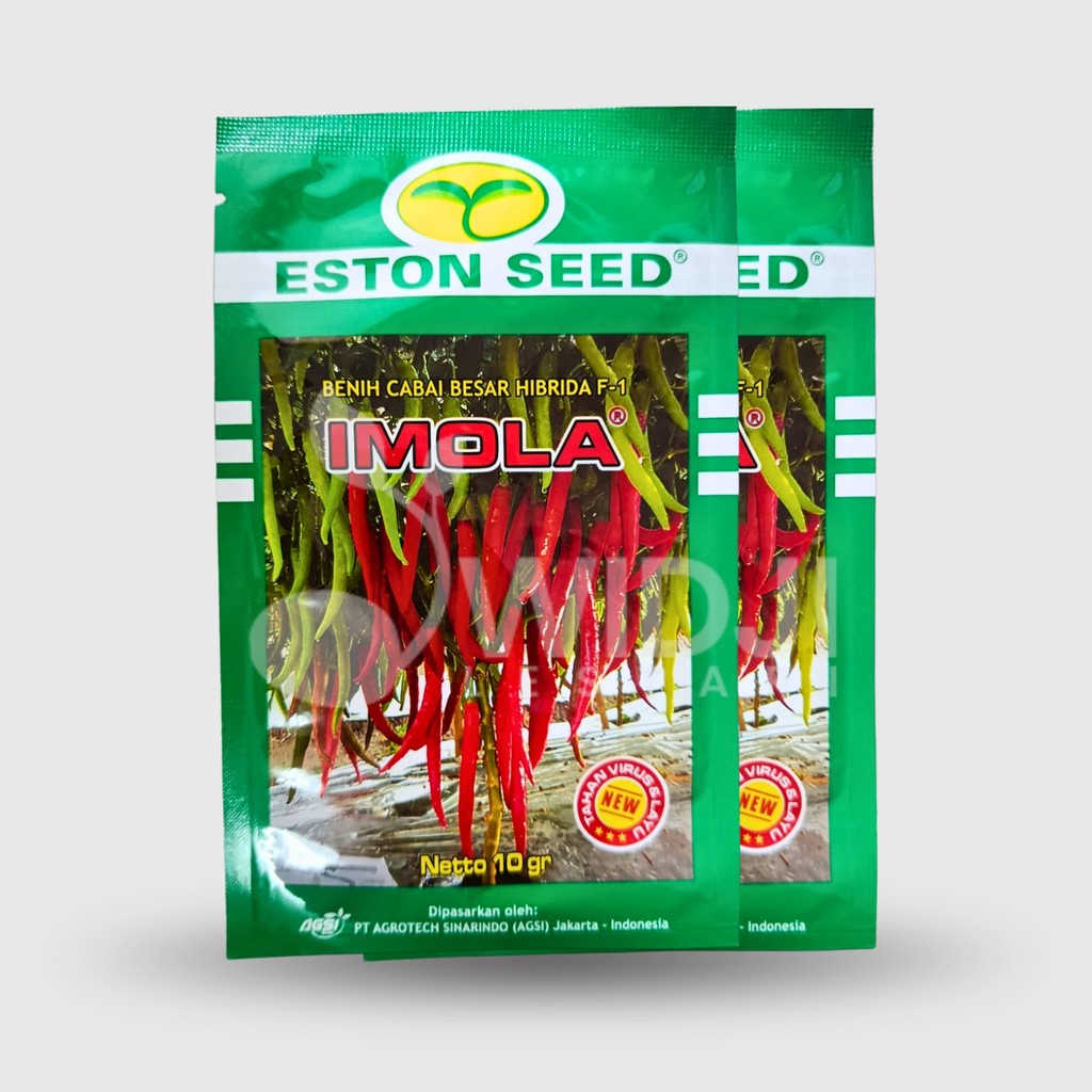 Benih Cabe Besar Imola New F1 Original 10gr Panen 73–78 HST Super Produktif