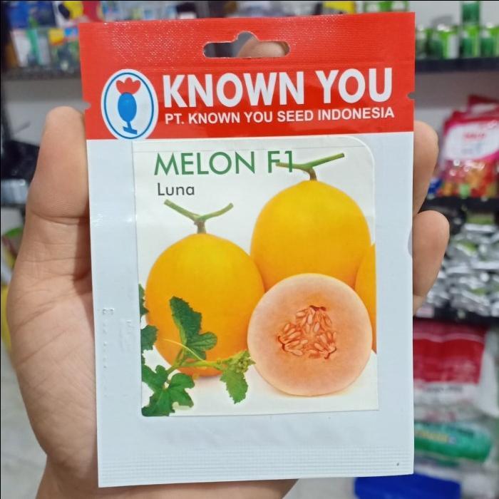 melon luna - melon kuning
