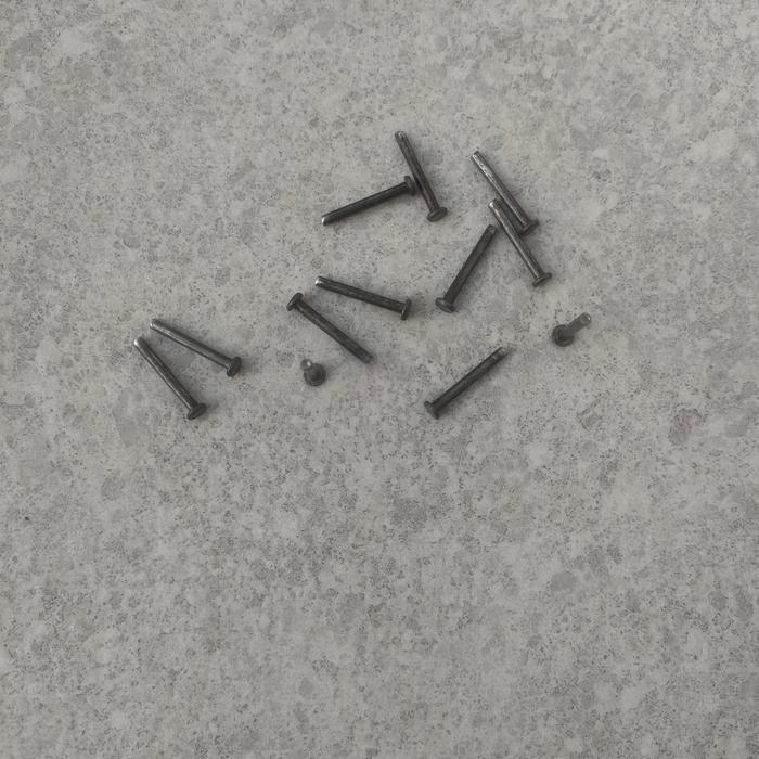 Paku Keling besi F3x25. 1kg